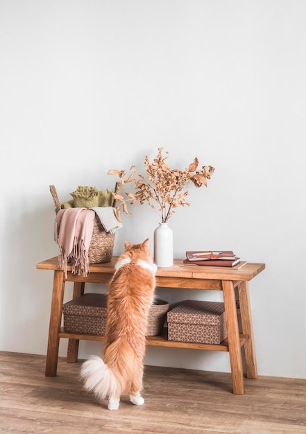 Banco de madera, una cesta con hojas de otoño a cuadros en un jarrón de cerámica y un gato doméstico rojo, un acogedor interior otoñal