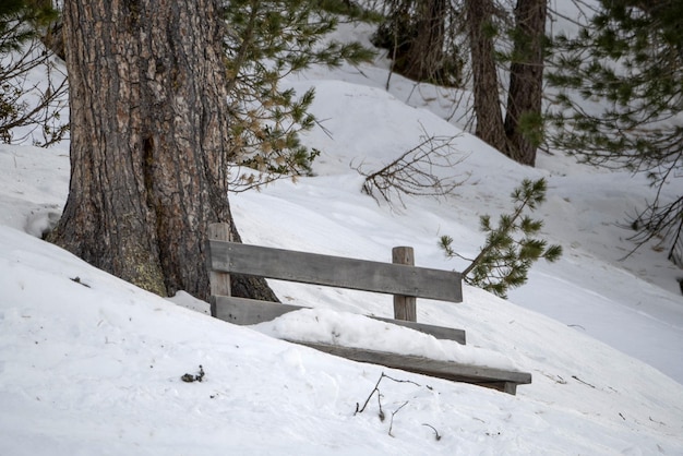 Banco de madera cubierto de nieve en las dolomitas