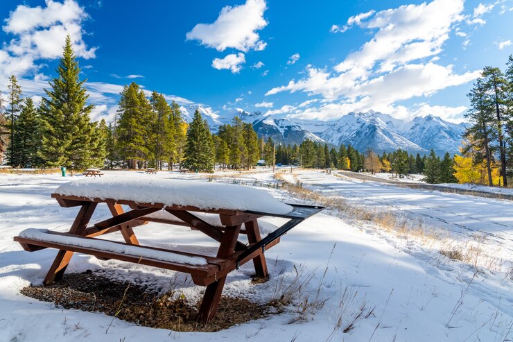 Banco de madera en un día soleado de otoño cubierto de nieve Coloridos árboles amarillos y verdes montañas cubiertas de nieve