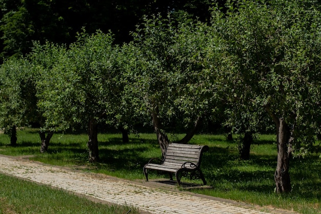 Banco de madera en un gran jardín.