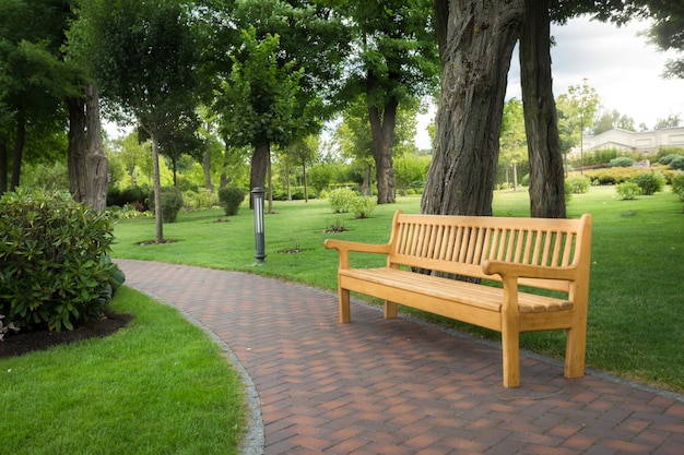 Banco de madera grande debajo de los árboles en el hermoso parque