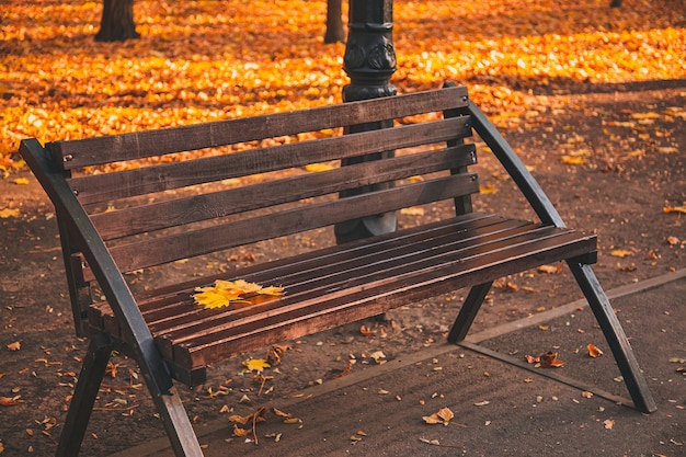 Un banco de madera marrón en un parque de la ciudad con hojas de otoño caídas.