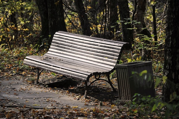 Banco de madera en el parque - paisaje otoñal