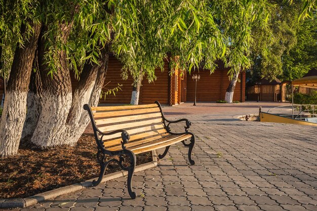 banco de madera en un parque