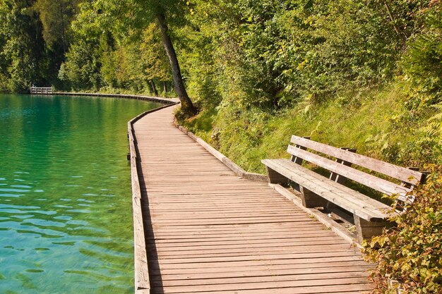 Banco de madera en el sendero junto al lago