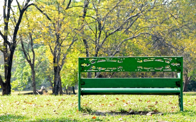 Banco de madera solitario en el parque