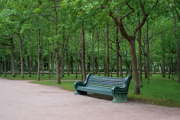 Banco de madera verde en un parque de verano con luz natural