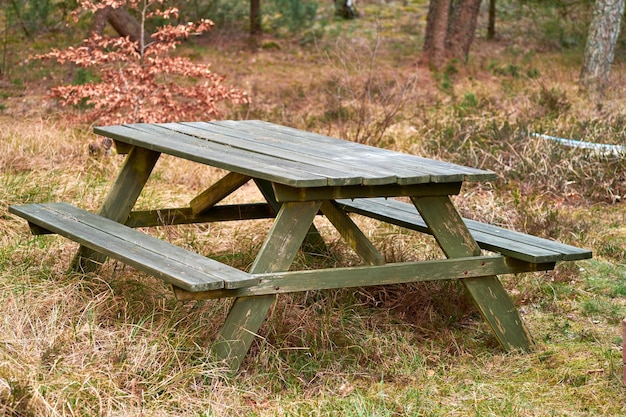 Banco y mesa de madera en un prado remoto para hacer un picnic en el bosque afuera Muebles para sentarse en un parque para disfrutar de una comida mientras toma un descanso y descansa de acampar, caminar o explorar el bosque