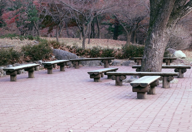 Foto banco no parque coreia