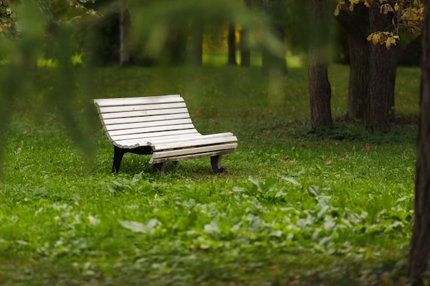 Banco no parque em um fundo de grama verde não há ninguém perto