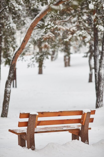 Foto banco no parque na neve