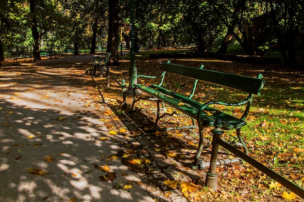 Banco no parque verde com caminho de caminho