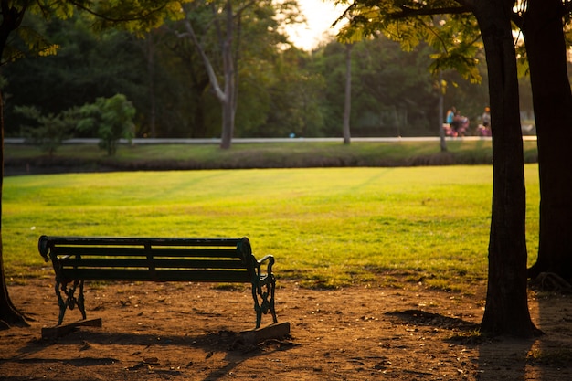 Banco no parque.