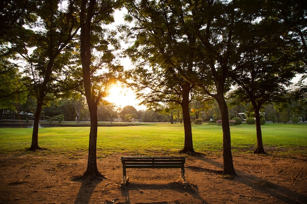 Foto banco no parque.