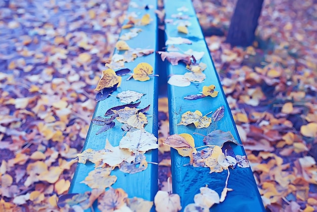 Foto banco de paisaje en el parque de otoño / paisaje de octubre en el parque amarillo, fondo de otoño