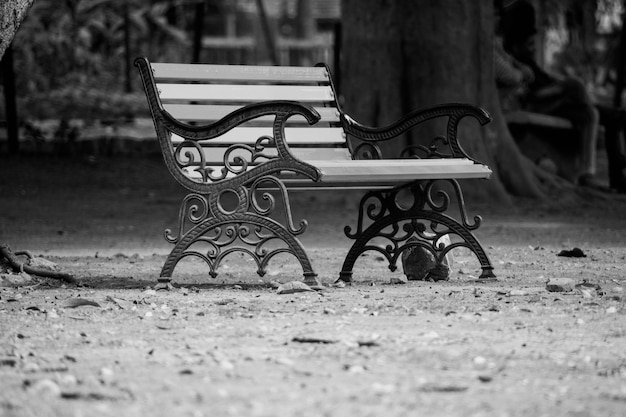 Banco en El Parque Blanco y Negro