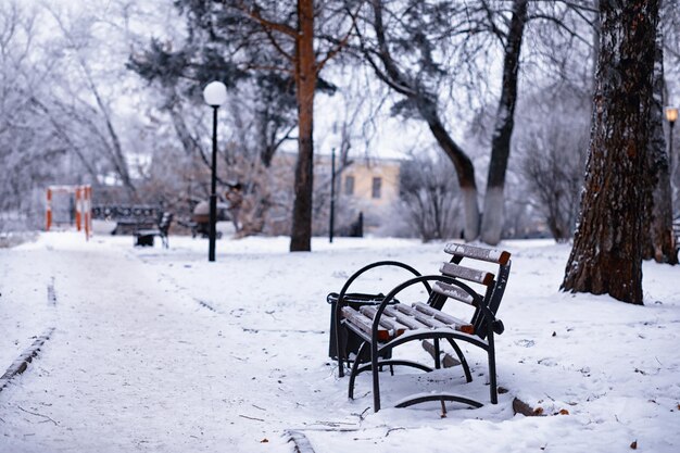 Banco del parque en un callejón de invierno en un banco de nevadas con nieve después de una tormenta de nieve o en una calamidad de nieve en europa