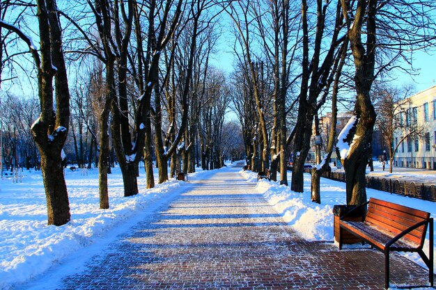 Un banco en el parque de la ciudad de invierno.