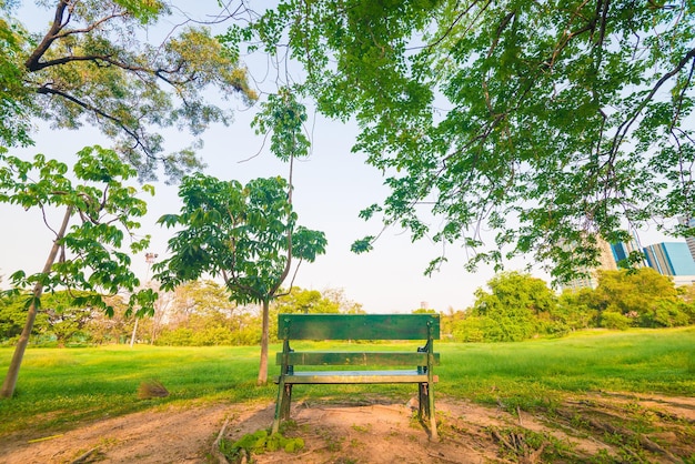 Foto banco en el parque contra el cielo