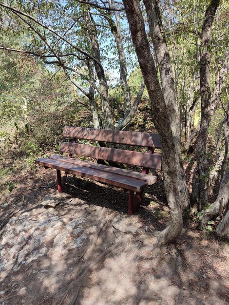 Foto un banco en el parque contra el fondo de las montañas y los árboles de navidad