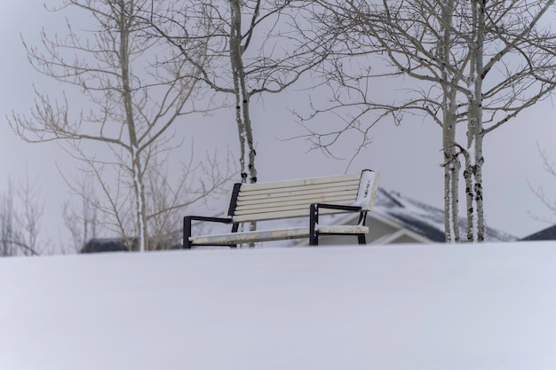 Banco del parque cubierto de nieve en parque público