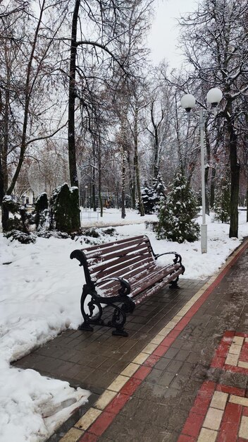 banco en el parque invierno