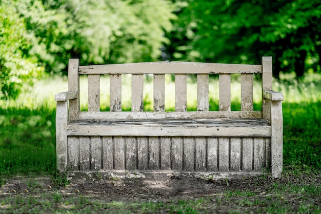 Banco del parque de madera blanca sobre un fondo verde