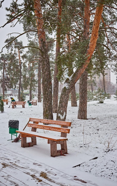 banco en el parque en la nieve