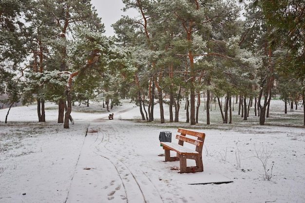 banco en el parque en la nieve