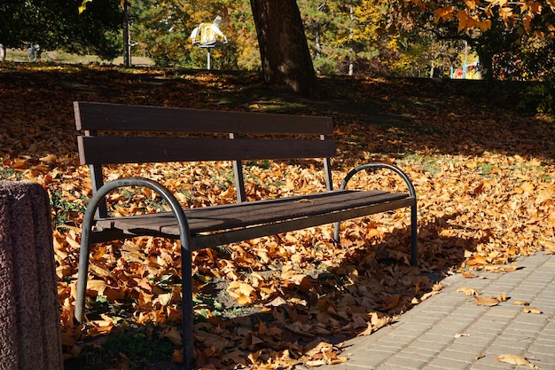 Un banco en el parque en otoño hojas caídas un día soleado