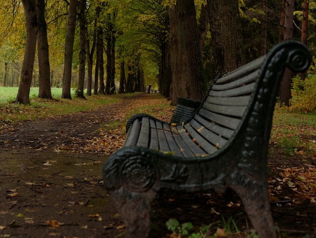 Banco en el parque otoño