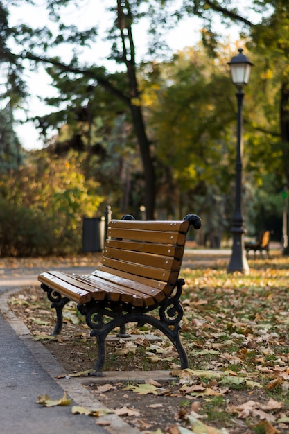 Banco en el parque en otoño