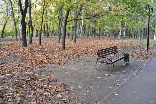 Banco en el parque otoño