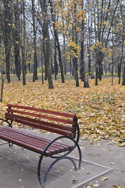 Banco en el parque otoño