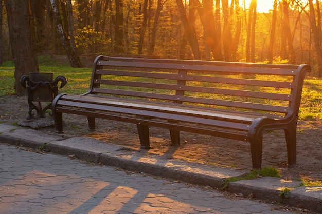 Banco en el parque durante la puesta de sol.