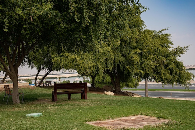 Foto un banco en el parque.