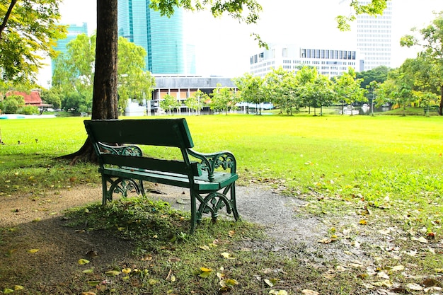 Foto banco en el parque