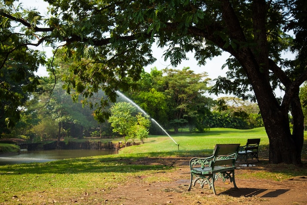 Banco en el parque.