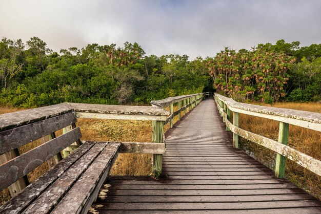 Banco y paseo marítimo en los humedales del Parque Nacional Everglades