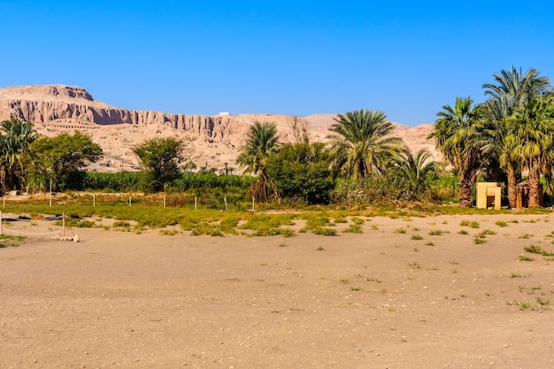 Banco del río Nilo en Luxor Egipto