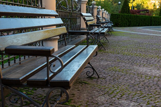 Banco romântico em um parque tranquilo no verão