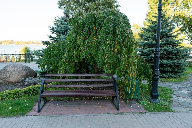 Banco romántico en un parque tranquilo en verano