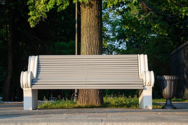 Banco solitario vacío en el parque de la ciudad sin gente Silla de madera en el jardín sobre fondo de árbol Banco largo