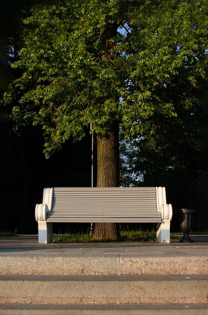 Foto banco solitário vazio no parque da cidade sem pessoas cadeira de madeira no jardim no fundo da árvore banco longo