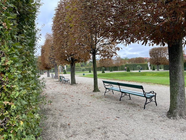 Banco vacío bajo los árboles de otoño en un hermoso parque