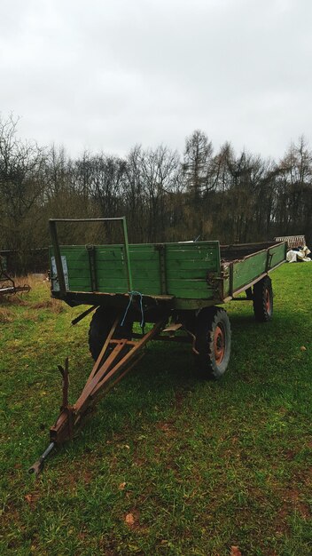 Foto un banco vacío en un campo cubierto de hierba.