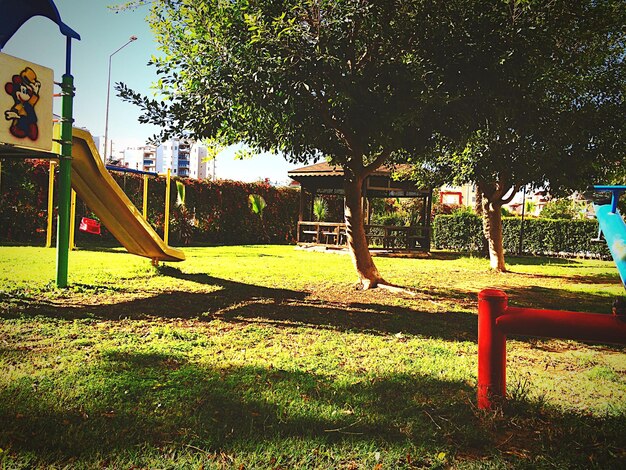 Foto un banco vacío en un campo de hierba en un parque