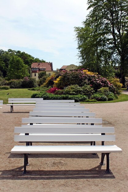 Foto un banco vacío en el parque contra el cielo