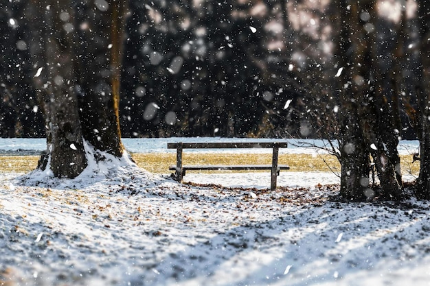 Un banco vacío en el parque durante la nieve.