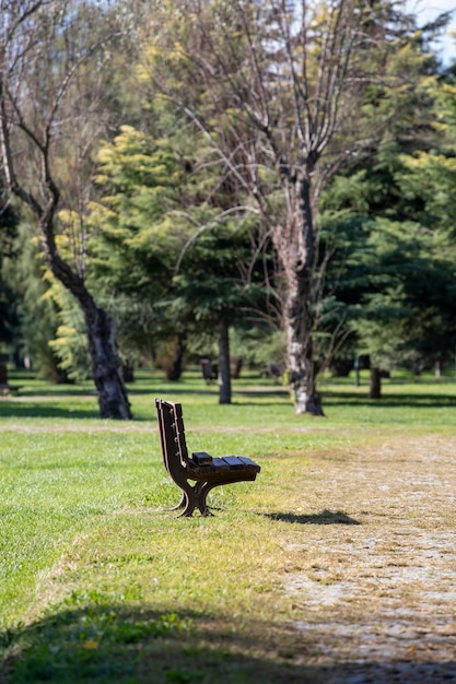 Banco vacío en el parque